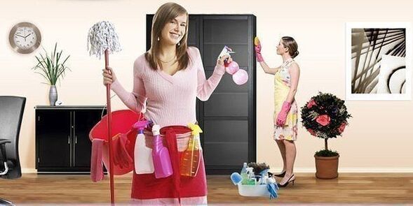 Um eine erneute Infektion mit Parasiten zu verhindern, ist eine gründliche Reinigung Ihrer Wohnung erforderlich.